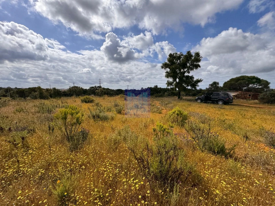 Terreno para Venda em São Silvestre Foto 10