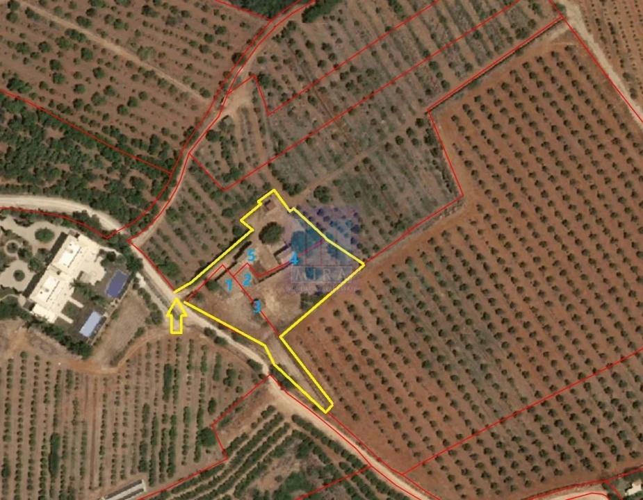 Quinta T5 para Venda em São Silvestre Foto 7