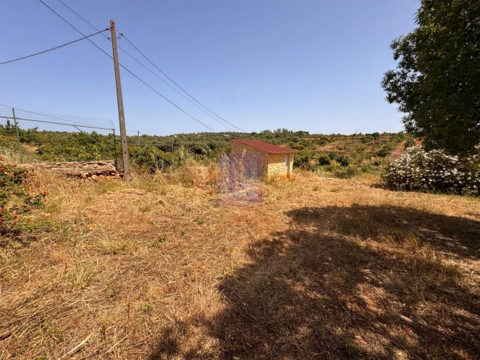 Quinta T5 para Venda em São Silvestre Foto 6