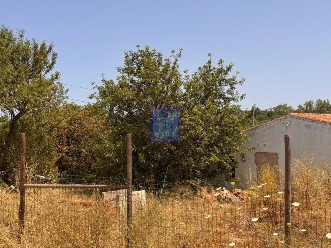 Quinta T5 para Venda em São Silvestre Foto 23