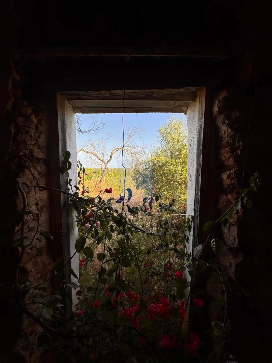 Quinta T5 para Venda em São Silvestre Foto 43