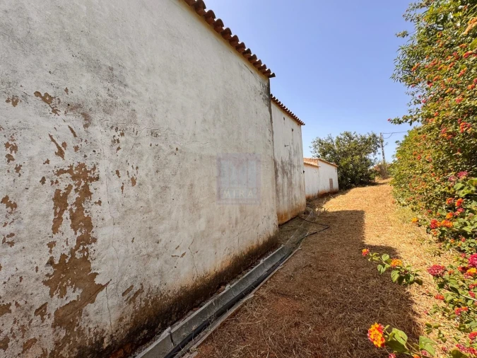 Quinta T5 para Venda em São Silvestre Foto 10