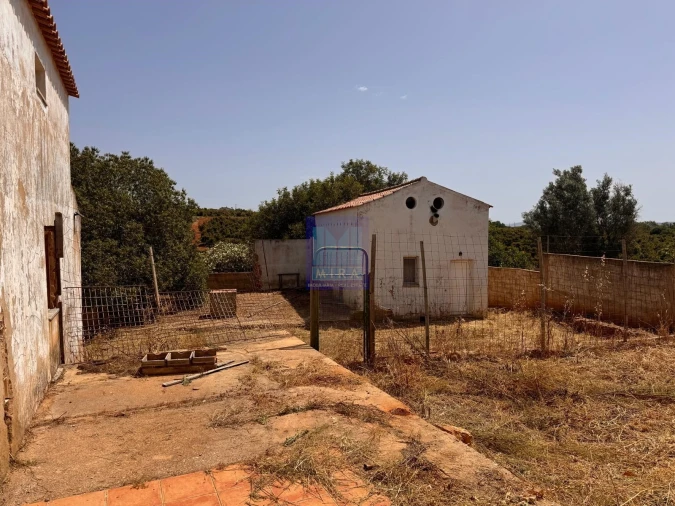 Quinta T5 para Venda em São Silvestre Foto 4