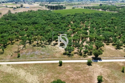Terreno para Venda em Poceirão e Marateca
