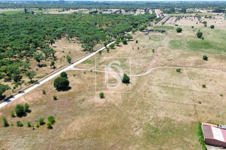 Terreno para Venda em Poceirão e Marateca Foto 7