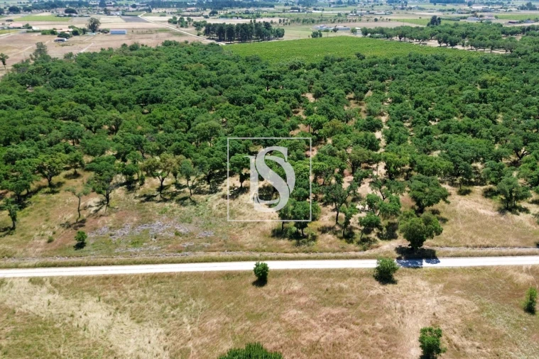 Terreno para Venda em Poceirão e Marateca Foto 6