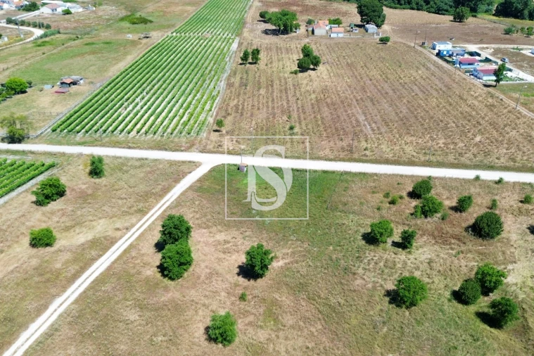 Terreno para Venda em Poceirão e Marateca Foto 4