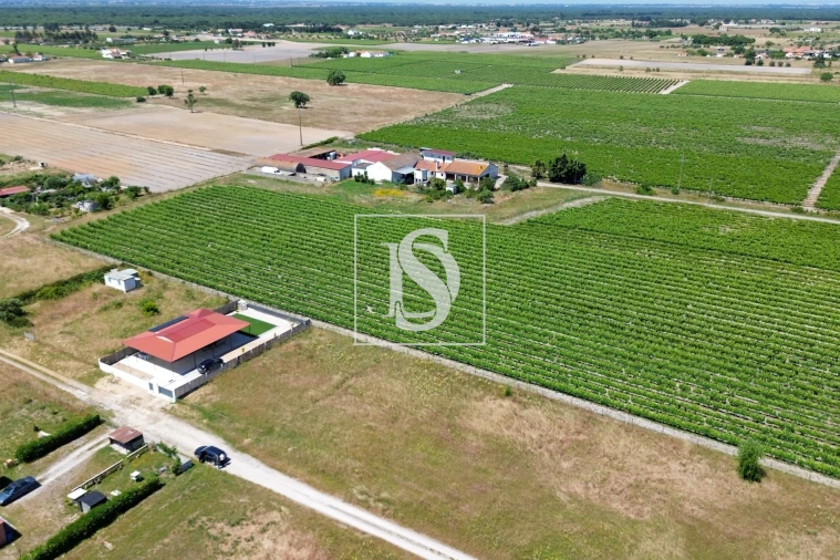 Terreno para Venda em Poceirão e Marateca Foto 8