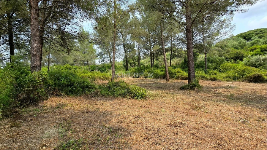 Terreno para Venda em Agualva e Mira-Sintra Foto 10