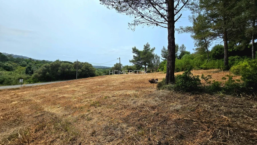 Terreno para Venda em Agualva e Mira-Sintra Foto 1
