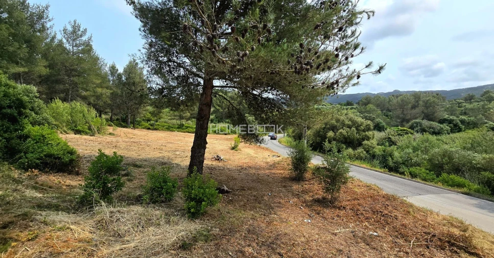Terreno para Venda em Agualva e Mira-Sintra Foto 12
