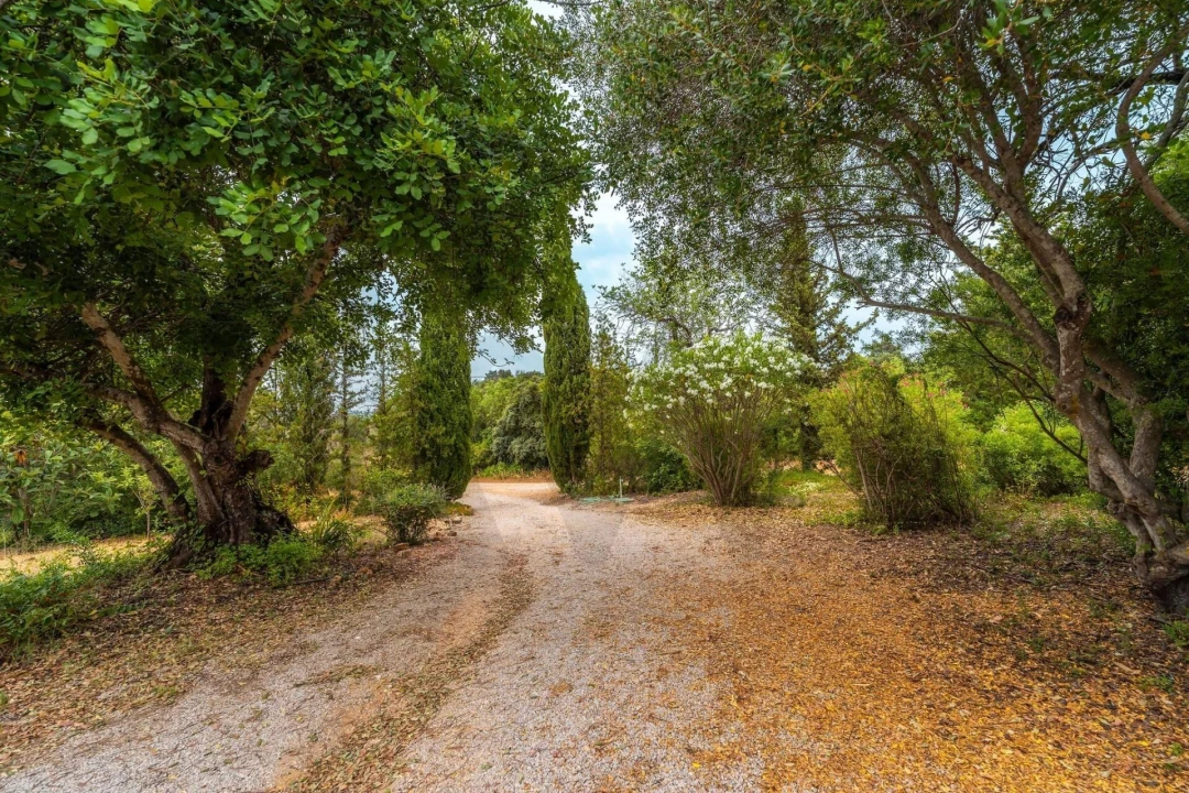 Moradia T4 para Venda em Loule (São Clemente) Foto 54