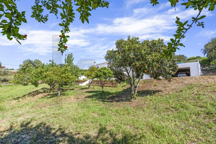 Moradia T5 para Venda em São Bartolomeu de Messines Foto 62