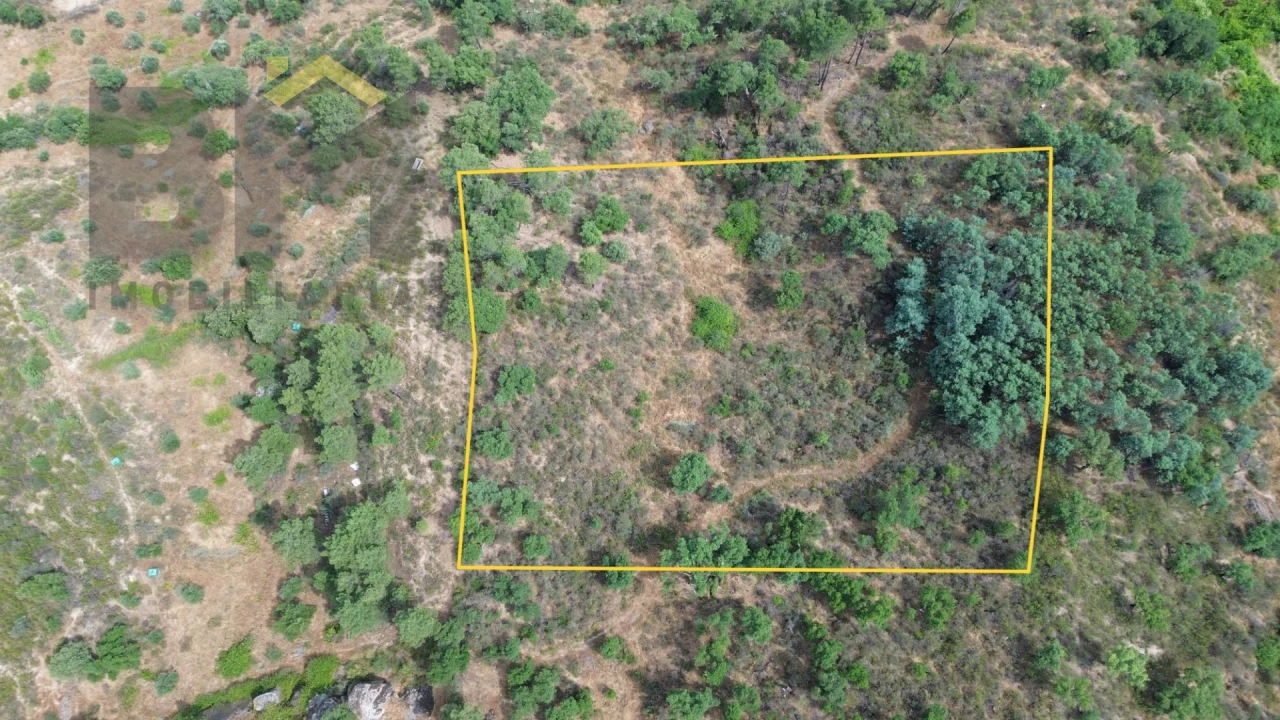 Terreno Agricola ou Rústico para Venda em Salgueiro do Campo Foto 3