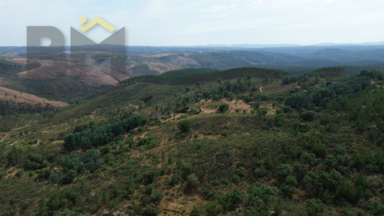 Terreno Agricola ou Rústico para Venda em Salgueiro do Campo Foto 4
