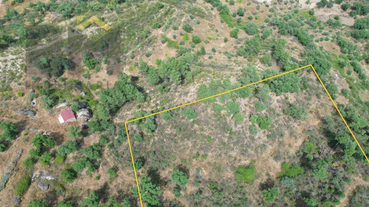 Terreno Agricola ou Rústico para Venda em Salgueiro do Campo Foto 6