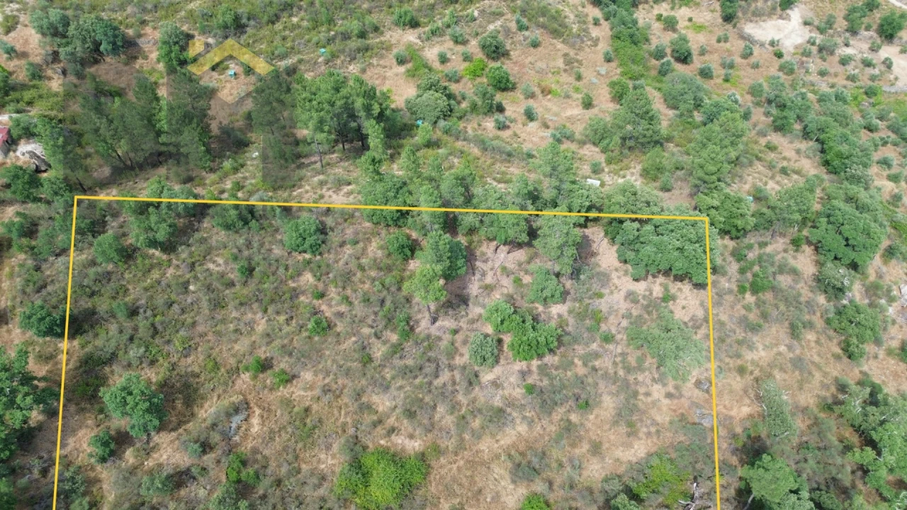 Terreno Agricola ou Rústico para Venda em Salgueiro do Campo Foto 5