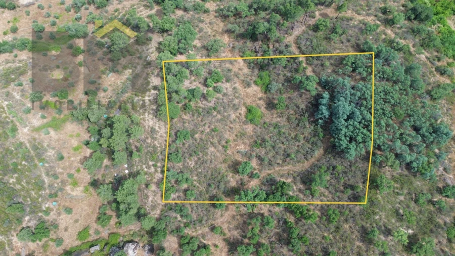 Terreno Agricola ou Rústico para Venda em Salgueiro do Campo Foto 3