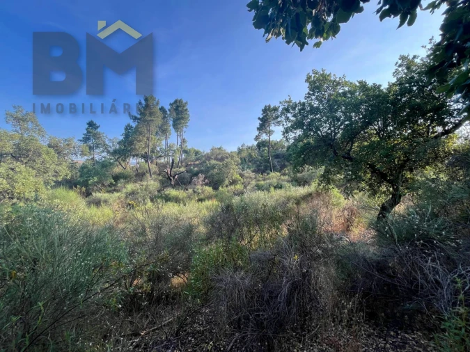 Terreno Agricola ou Rústico para Venda em Salgueiro do Campo Foto 12