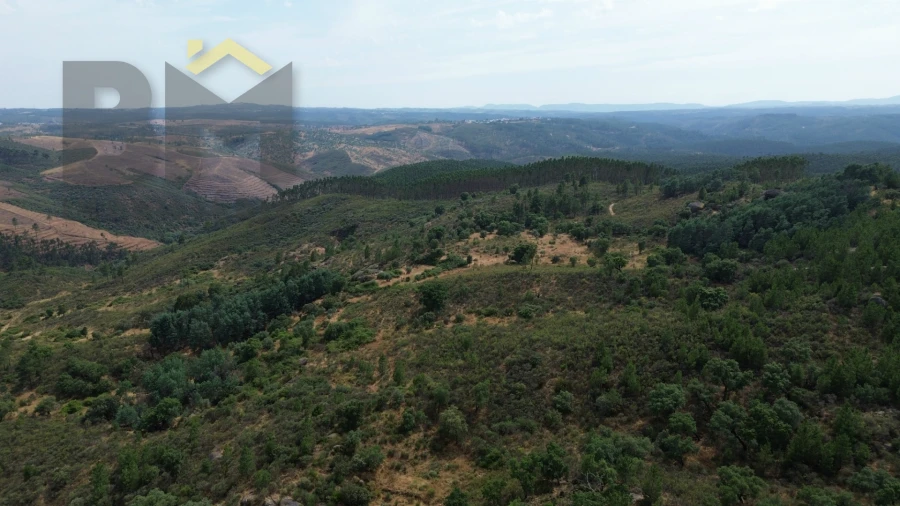 Terreno Agricola ou Rústico para Venda em Salgueiro do Campo Foto 4