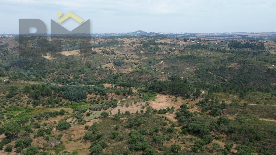 Terreno Agricola ou Rústico para Venda em Salgueiro do Campo