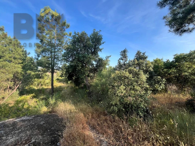 Terreno Agricola ou Rústico para Venda em Salgueiro do Campo Foto 13