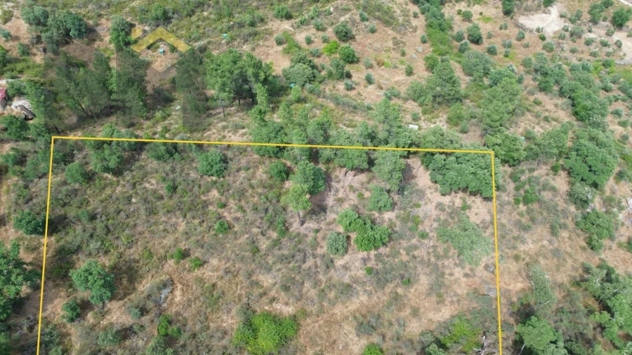Terreno Agricola ou Rústico para Venda em Salgueiro do Campo Foto 5