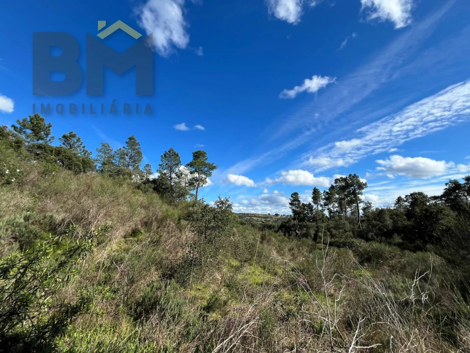 Terreno Agricola ou Rústico para Venda em Salgueiro do Campo Foto 2