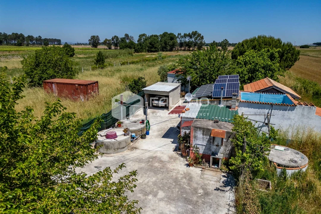 Terreno Agricola ou Rústico para Venda em Almeirim Foto 16