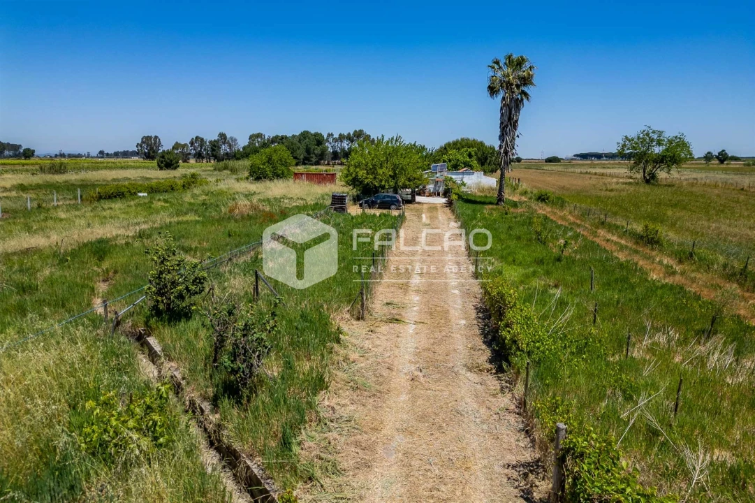 Terreno Agricola ou Rústico para Venda em Almeirim Foto 15