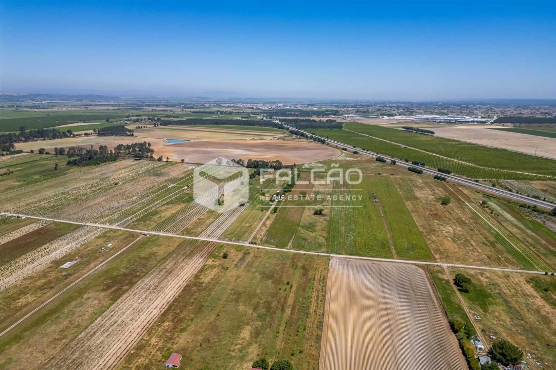 Terreno Agricola ou Rústico para Venda em Almeirim Foto 4