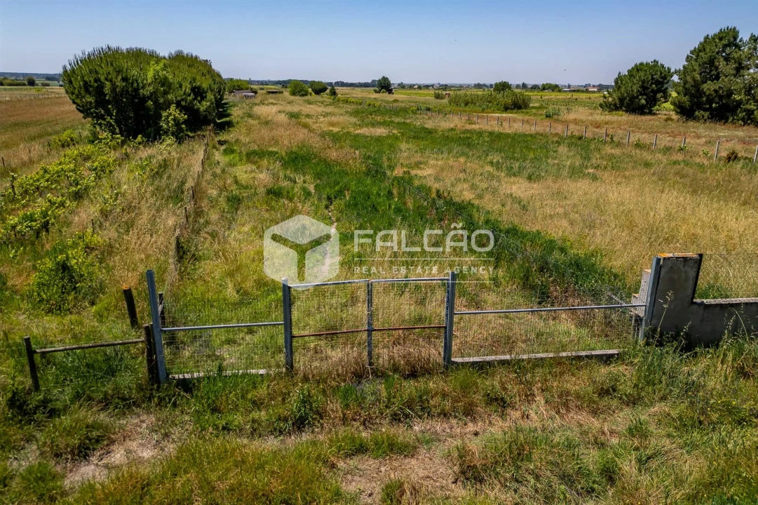 Terreno Agricola ou Rústico para Venda em Almeirim Foto 13