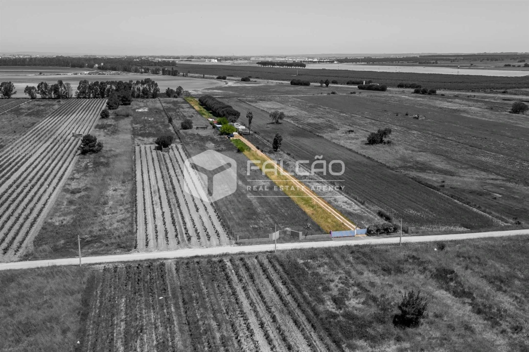 Terreno Agricola ou Rústico para Venda em Almeirim Foto 7