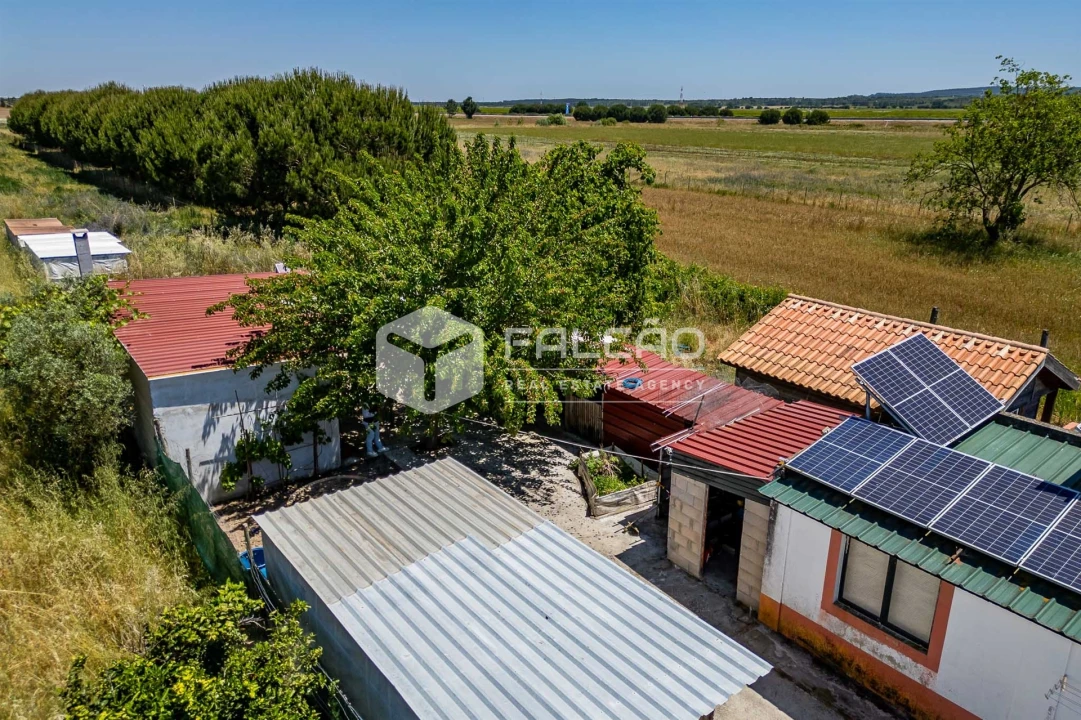 Terreno Agricola ou Rústico para Venda em Almeirim Foto 18