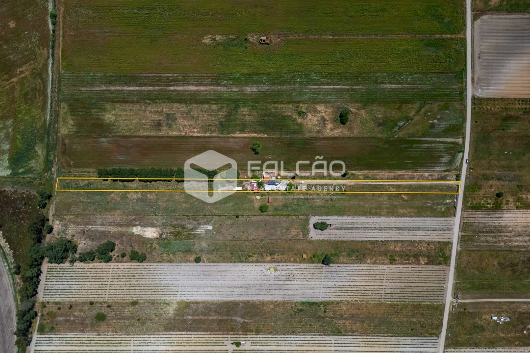 Terreno Agricola ou Rústico para Venda em Almeirim Foto 1