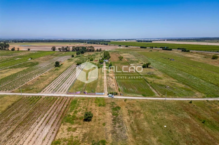 Terreno Agricola ou Rústico para Venda em Almeirim Foto 6