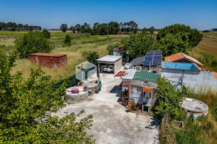 Terreno Agricola ou Rústico para Venda em Almeirim Foto 16