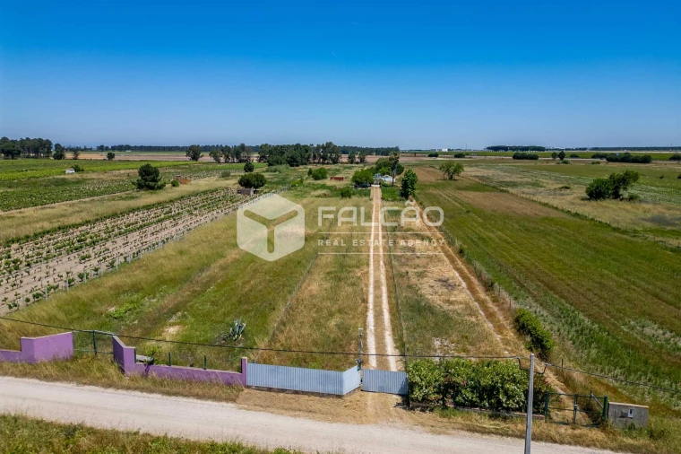 Terreno Agricola ou Rústico para Venda em Almeirim Foto 9