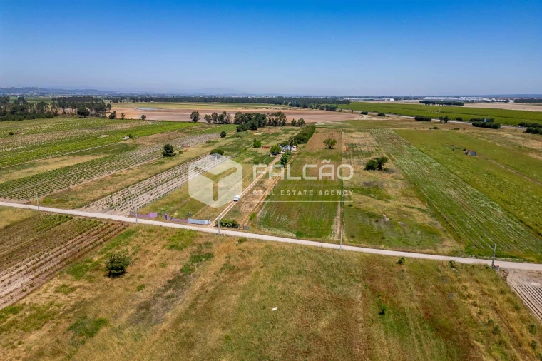 Terreno Agricola ou Rústico para Venda em Almeirim Foto 5