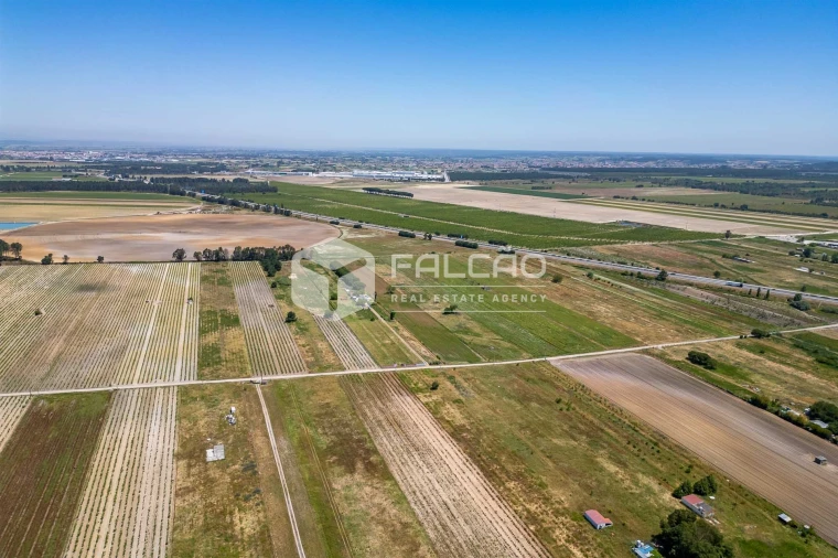 Terreno Agricola ou Rústico para Venda em Almeirim Foto 3