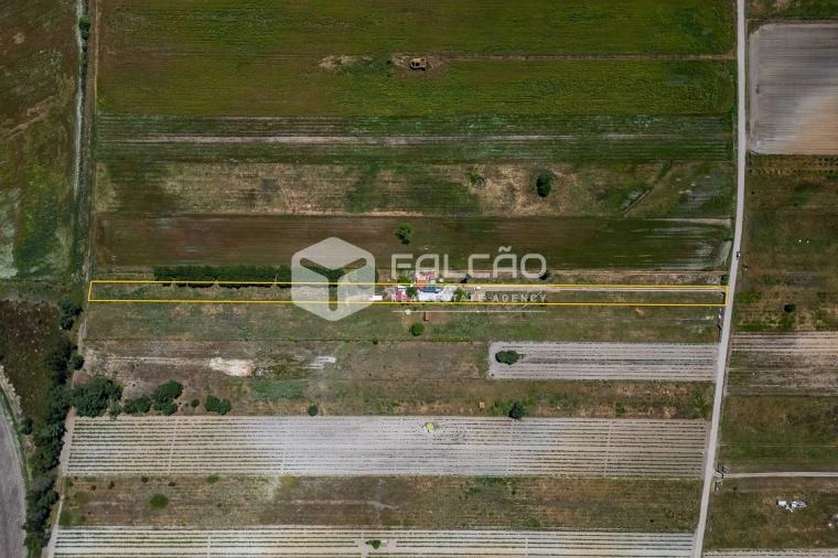 Terreno Agricola ou Rústico para Venda em Almeirim Foto 1