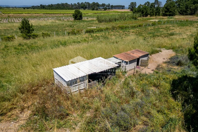 Terreno Agricola ou Rústico para Venda em Almeirim Foto 19