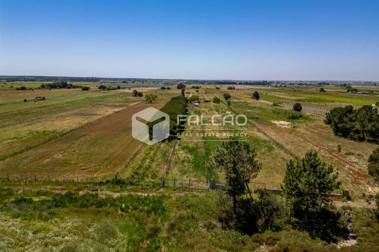 Terreno Agricola ou Rústico para Venda em Almeirim Foto 11