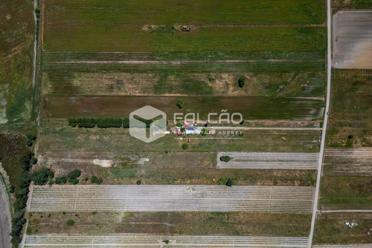 Terreno Agricola ou Rústico para Venda em Almeirim Foto 2