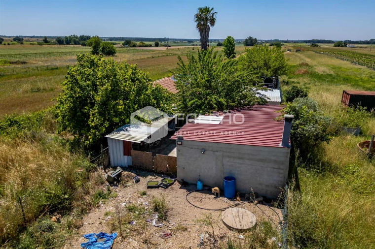 Terreno Agricola ou Rústico para Venda em Almeirim Foto 20