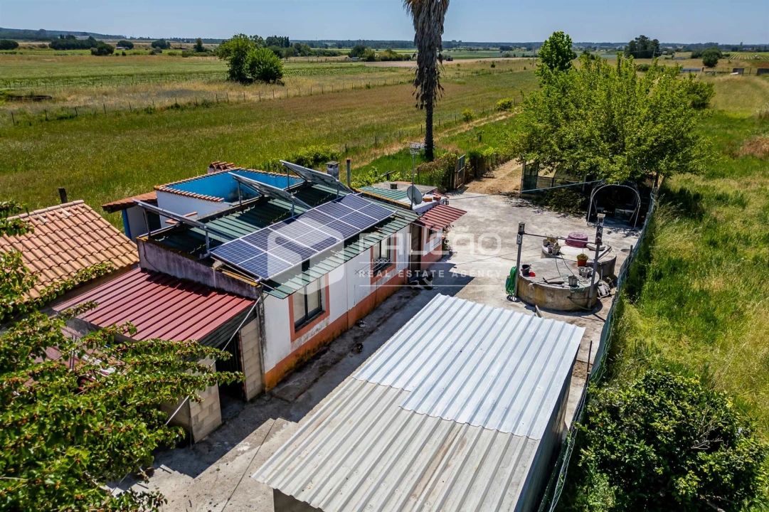 Terreno Agricola ou Rústico para Venda em Almeirim Foto 21