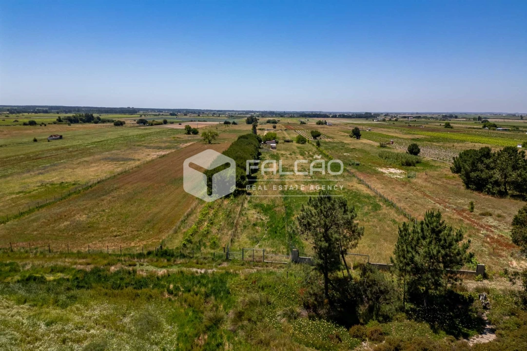 Terreno Agricola ou Rústico para Venda em Almeirim Foto 11