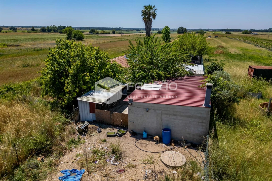 Terreno Agricola ou Rústico para Venda em Almeirim Foto 20