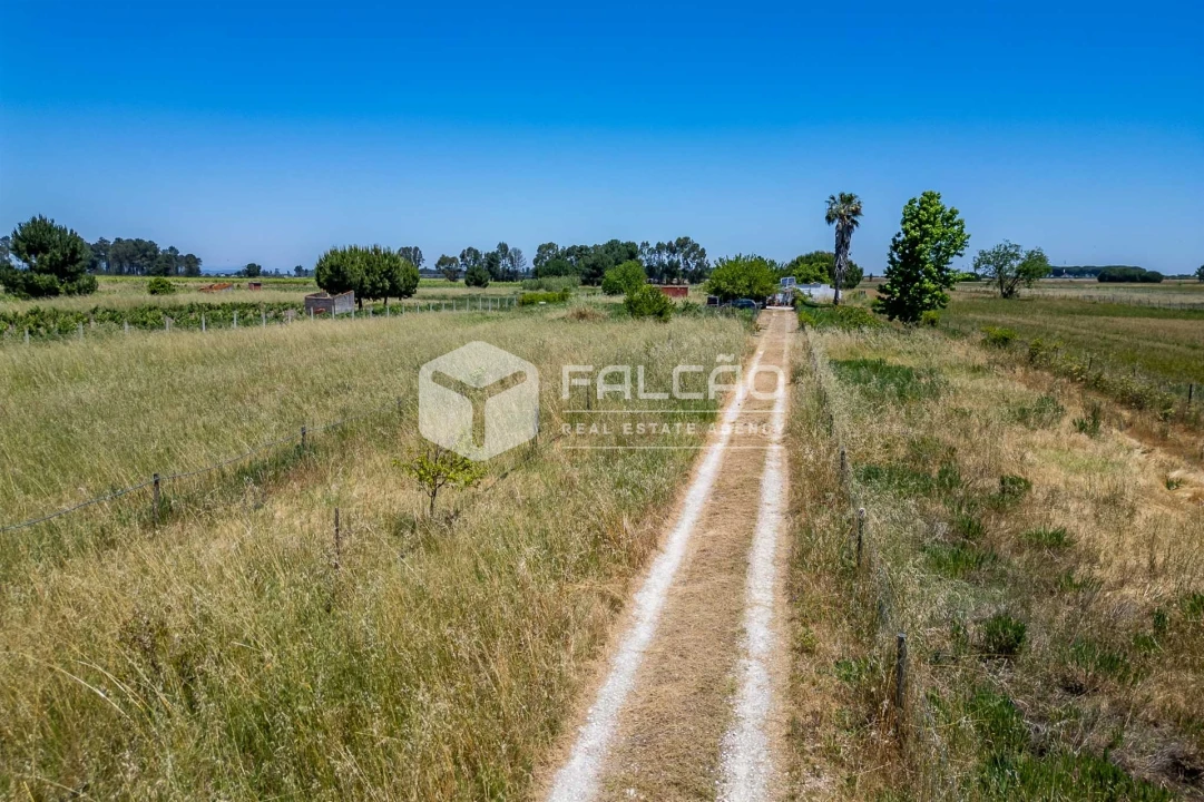 Terreno Agricola ou Rústico para Venda em Almeirim Foto 14