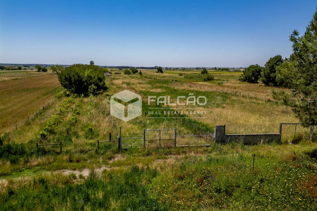 Terreno Agricola ou Rústico para Venda em Almeirim Foto 12